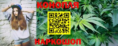 хмурый Краснознаменск