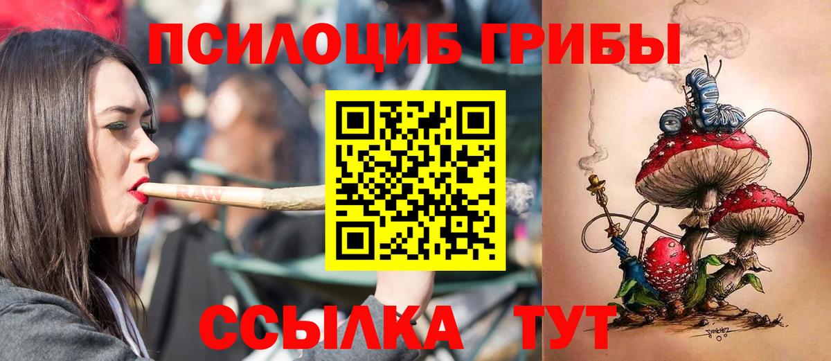 Псилоцибиновые грибы Psilocybe Зеленогорск